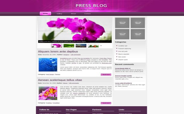 Free HTML Flowers Pink CSS Web2.0 Website Template