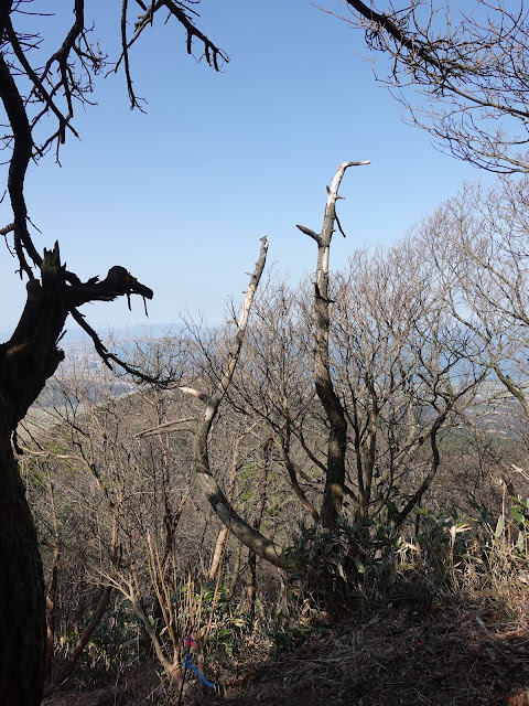 孝霊山　中腹の急な坂道