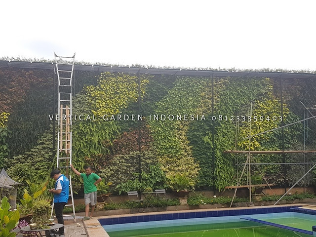 JASA PEMBUATAN VERTICAL GARDEN DI SIDOARJO