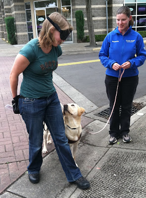 Up curb stop for Miranda and yellow Lab guide as instructor looks on