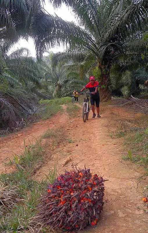 MTB mean Mari Tolak Basikal