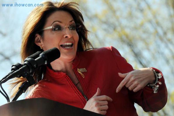 sarah palin commentary