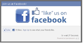 facebook_like_box