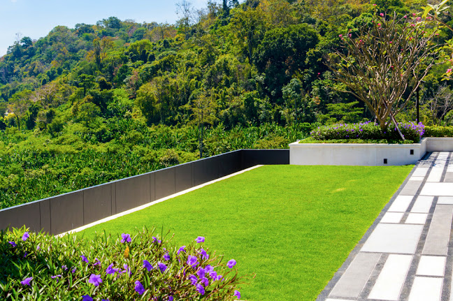 Green Roof Garden