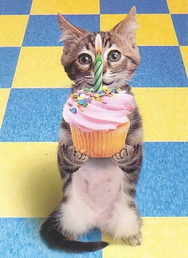 funny happy birthday quotes. irthday wishes funny quotes.