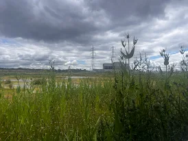 Beddington Farmlands