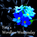 Tina´s wordless wednesday