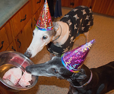 Blue and Bettina get birthday treats