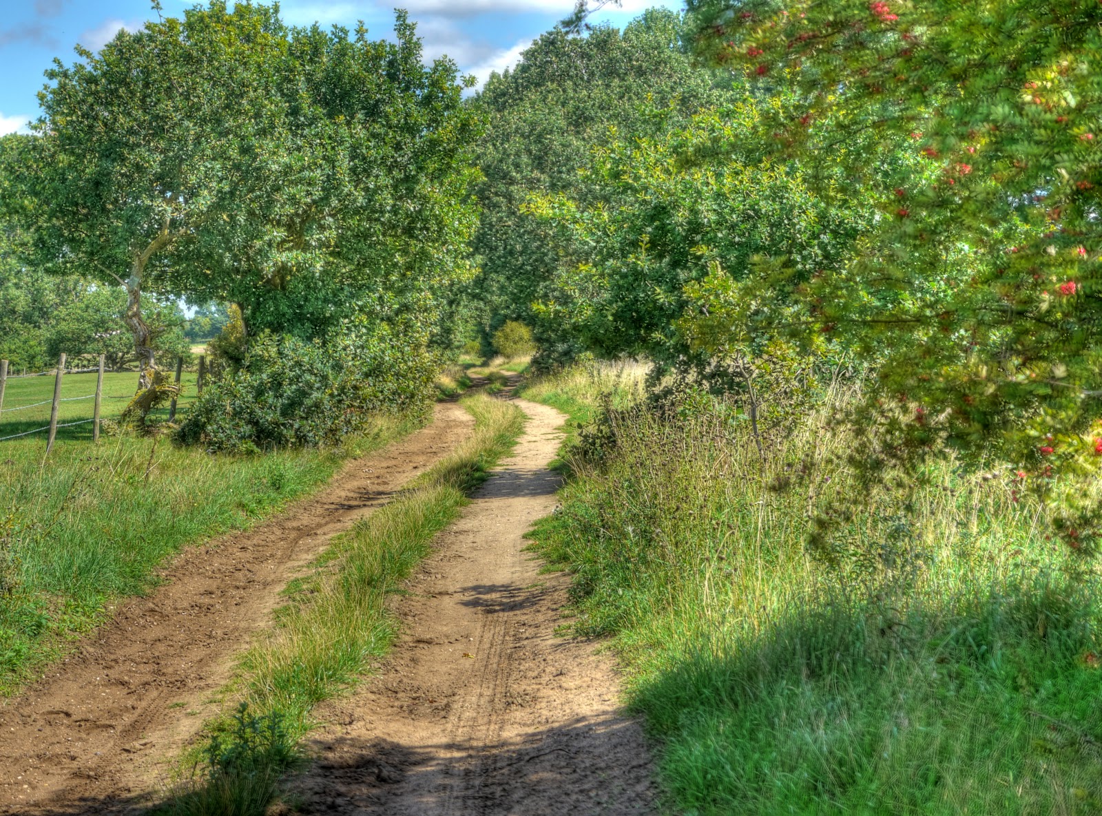 P1160551_45_46_47_48_49_50_tonemapped.jpg