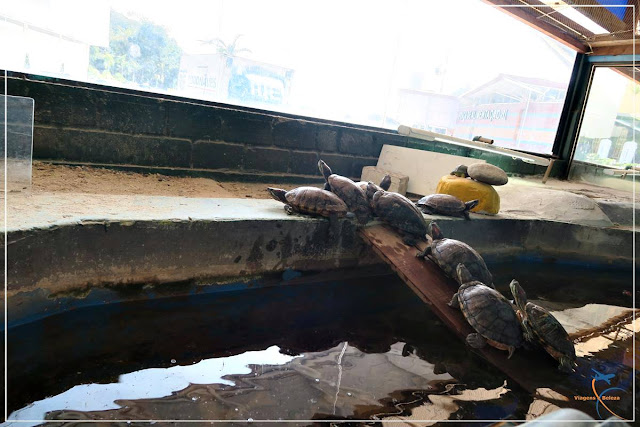 Aquário de Aparecida