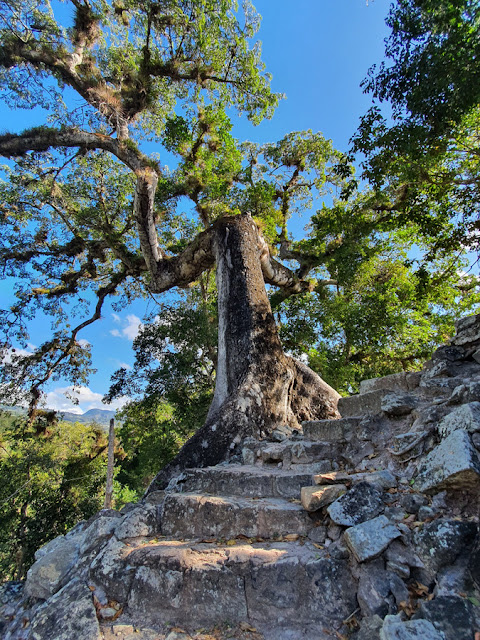 Copan Ruinas Honduras