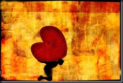 Heart (5)