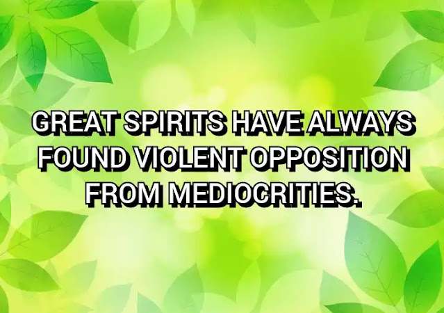 Great spirits have always found violent opposition from mediocrities.