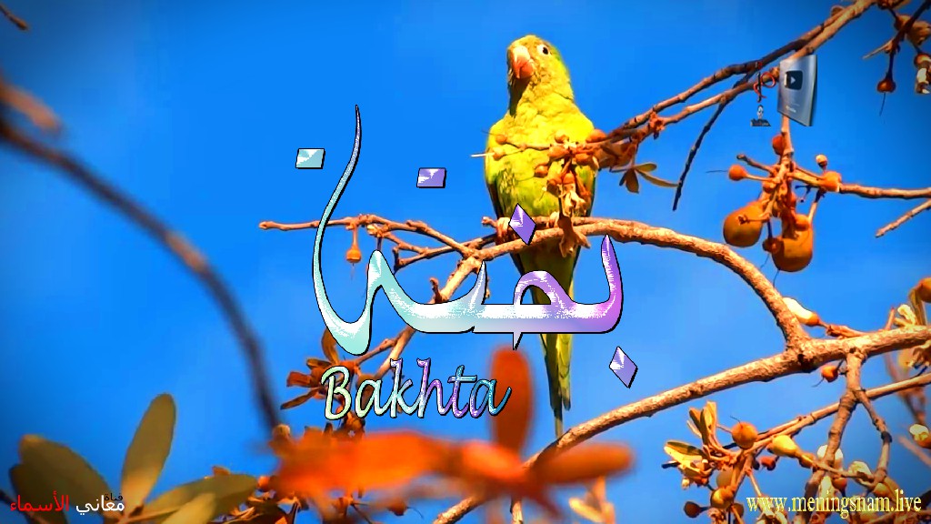 معنى اسم, بختة, وصفات, حاملة, هذا الاسم, Bakhta,