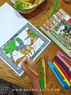 mewarnai dapat melatih kesabaran dan fokus