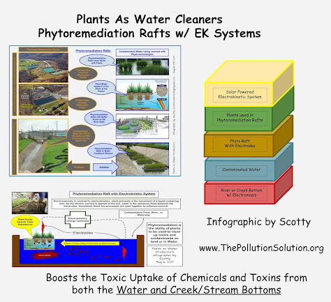 Phytoremediation Raft Design by Scotty