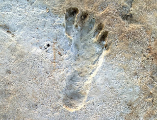 ANCIENT FOOTPRINTS IN AMERICA