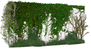 pared,muro,png,medianera,enredadera,plantas,recursos,arquitectura,photoscape,photoshop,gimp,scrap