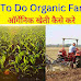 How To Do Organic Farming, Benifites Of Organic Farming | ऑर्गेनिक खेती कैसे करे, ऑर्गेनिक खेती करने से कई लाभ, ऑर्गेनिक खेती की जानकारी विस्तार से हिंदी में, आज से चालू कर दे जैविक खेती करना