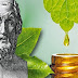 Ανεκμετάλλευτος Ελληνικός Θησαυρός: Φάρμακα από την Οδύσσεια του Ομήρου 