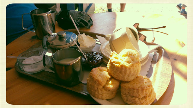 Cream Tea Queen Britchcombe Farm cream tea