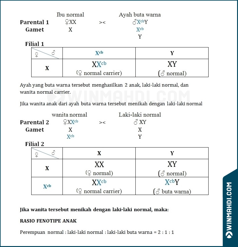 SOAL SMM BIOLOGI USU