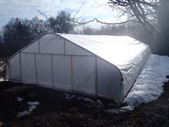 hightunnel_winter11