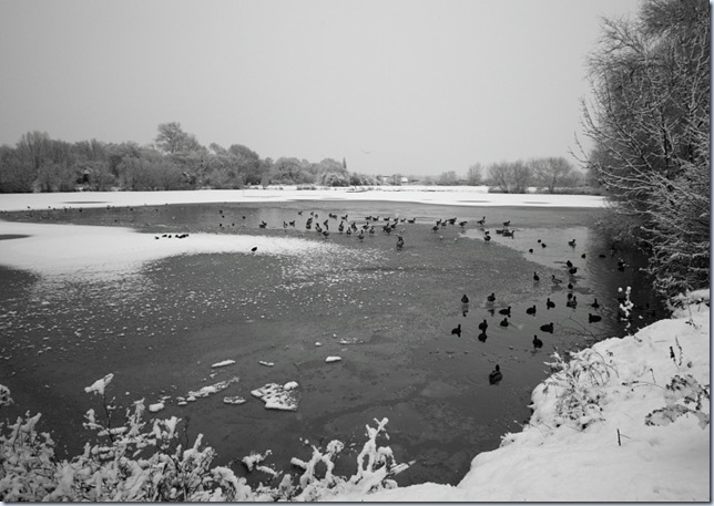 roding_snow1