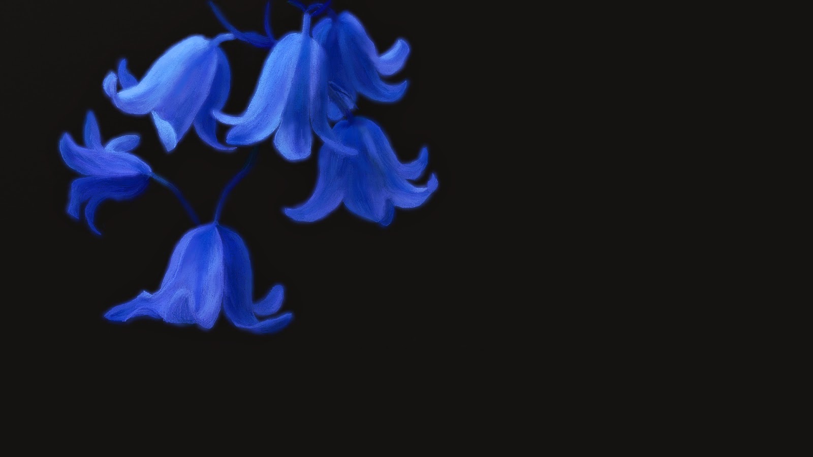 blue flower wallpaper