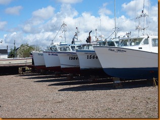 P8245948