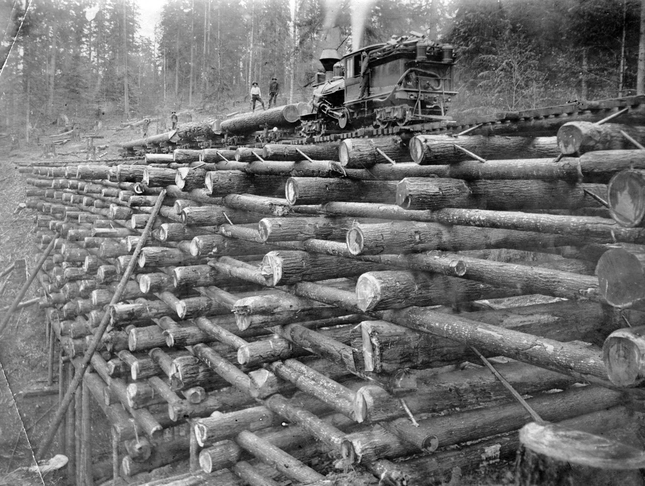 Lumber mills in colorado