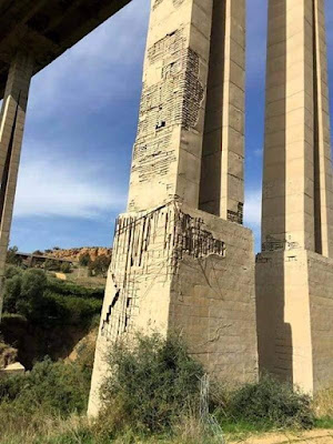 Il ponte - lungo 1.182 metri e alto 45 metri - era stato costruito con una struttura mista: cemento armato precompresso per l’impalcato e cemento armato ordinario per le torri e le pile. L’inaugurazione era avvenuta il 4 settembre 1967 alla presenza del Presidente della Repubblica Giuseppe Saragat, facendo discutere fin da subito gli ingegneri,   che ne avevano presto individuato le nefaste criticità.  "Una somma di errori progettuali"  “Il crollo di un ponte - sottolineava Brencich – è la somma una lunga serie di errori, progettuali, di manutenzione e di chi eventualmente ha autorizzato il transito di mezzi pesanti