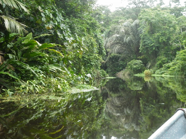 Tour en barque à Tortuguero