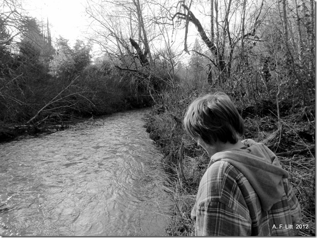 Springwater Corridor.  Gresham, Oregon.  January 28, 2012.