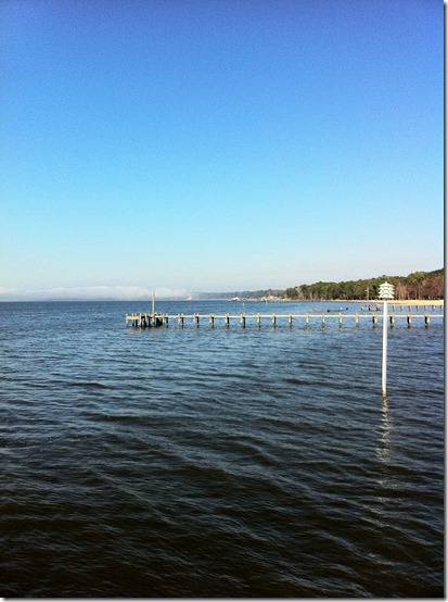 Bay