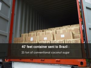 coconut sugar manufacture