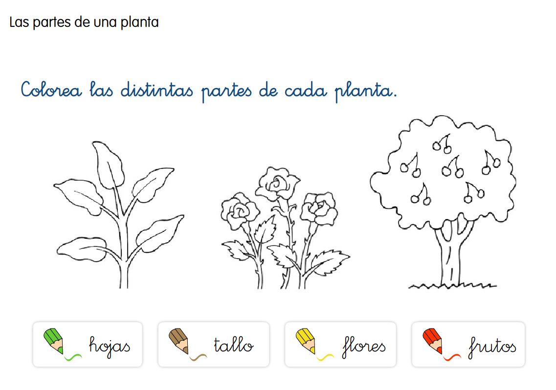 http://primerodecarlos.com/primerodecarlos.blogspot.com/febrero/partes_plantas.swf