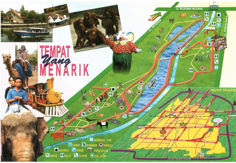  Margasatwa  Indonesia Kebun Binatang  Gembira Loka Yogyakarta