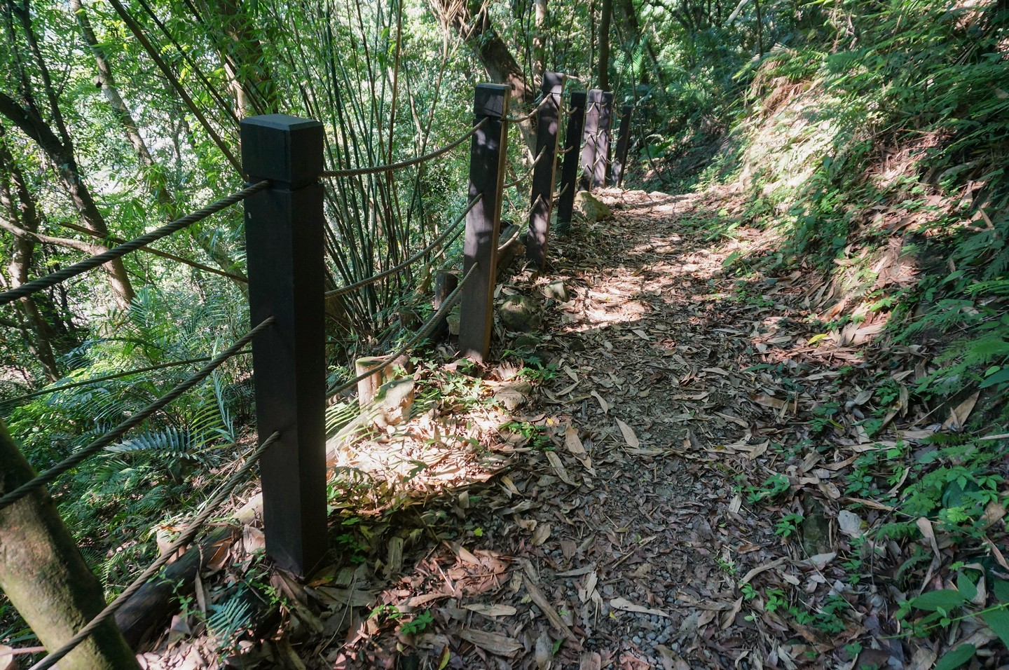 泰安登山步道