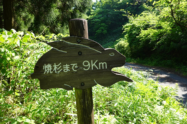 鳥取県西伯郡南部町東上 鎌倉山グリーンライン