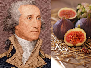 Juicy Secrets: How U.S. Presidents Favored These Surprising Fruits
