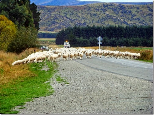 glenorchy1