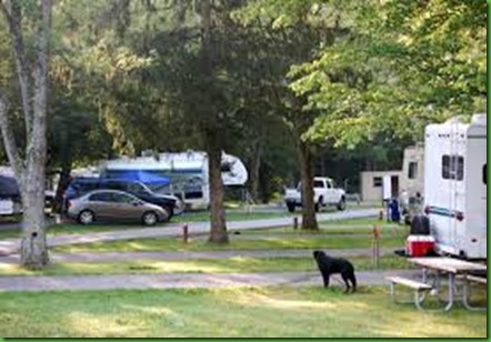 Hungry Mother Campground B