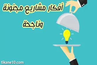 أفكار مشاريع مجنونة وناجحة 2024