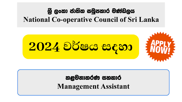 Management Assistant - National Cooperative Council of Sri Lanka