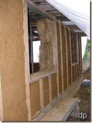 plaster on north side