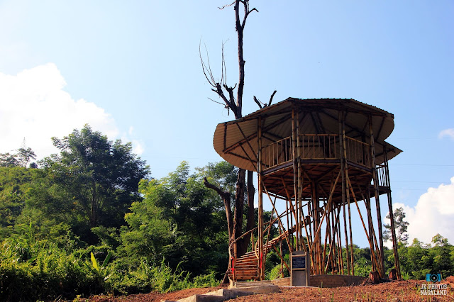 Bamboo Watch Towers-doyang-amur-falcon-site