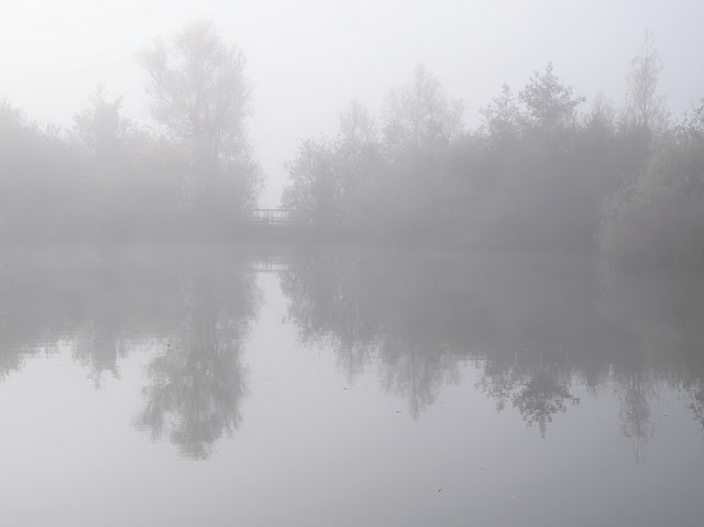 Thick mist over water reducing trees to silhouettes