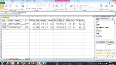 Plame Construccion Civil - Resumen con Macros Excel