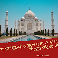 শাহজাহানের আমলে কলা ও স্থাপত্য শিল্পের পরিচয় দাও